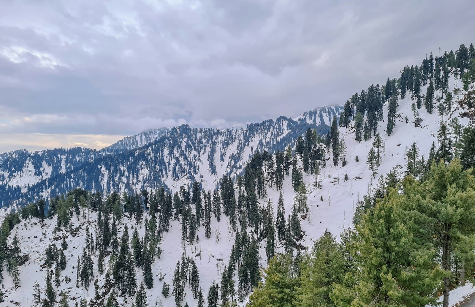 Complete Travel Guide: Islamabad to Nathia Gali 2026