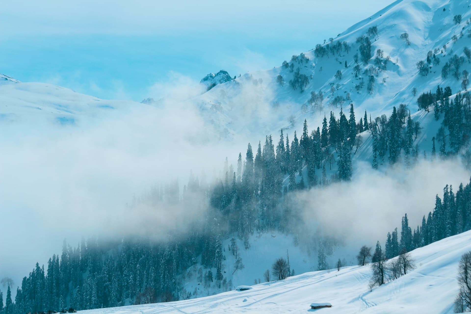 Nathia Gali in December: What to Expect Month by Month in the Winter Season