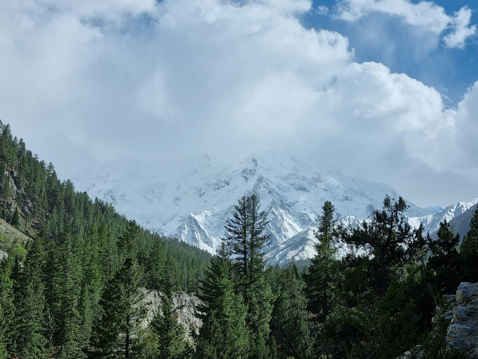 Nathia Gali vs Murree vs Kalam for Visitors and Investors (2026)