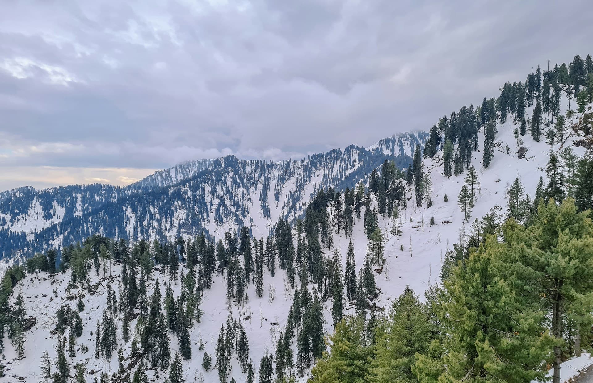 Snowfall in Nathia Gali 2026-27: Complete Guide (What to Expect, When to Visit, How to Prepare)