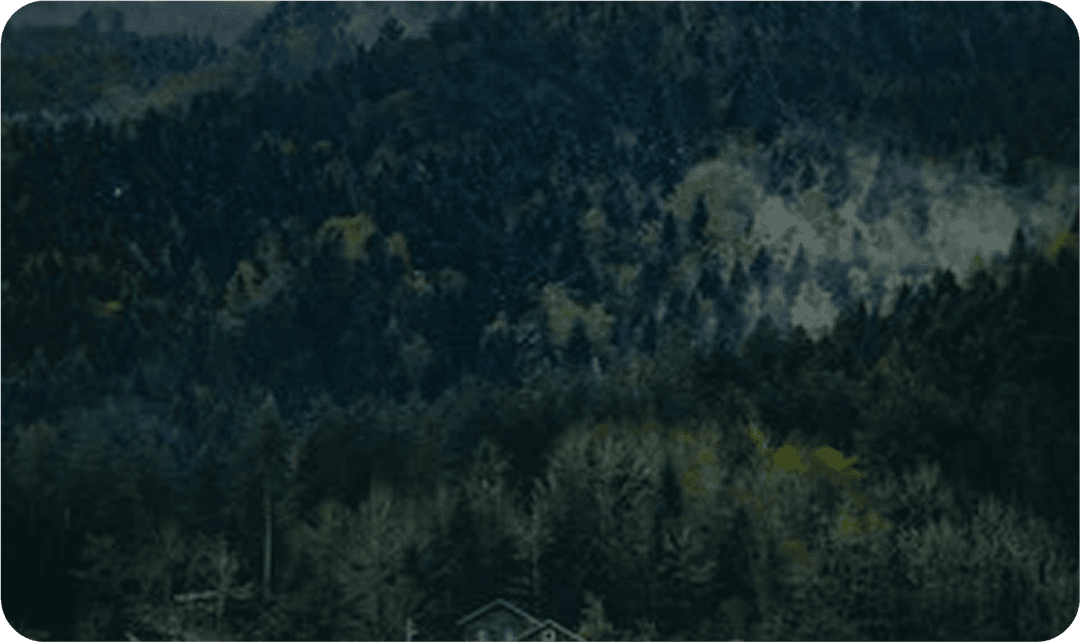 Serene Heights Nathia Gali located at 7906 ft altitude in Nathia Gali